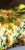 Mexican Frittata