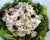 Classic Chicken Salad Over Greens