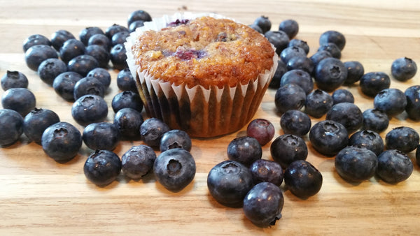 Blueberry Paleo Muffin